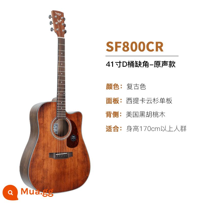 Giới thiệu đàn guitar Saga sf700 cho người mới bắt đầu chơi đàn guitar acoustic dân gian Saga 41 inch chính hãng được khuyên dùng cho bé trai và bé gái - SF800CR/41 inch/góc cắt