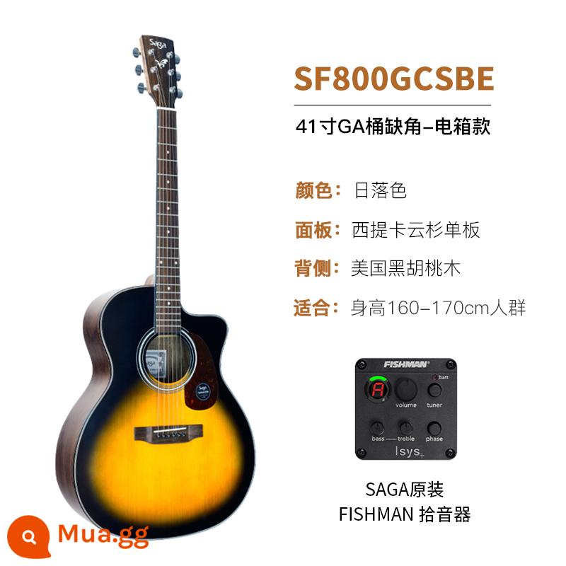 Giới thiệu đàn guitar Saga sf700 cho người mới bắt đầu chơi đàn guitar acoustic dân gian Saga 41 inch chính hãng được khuyên dùng cho bé trai và bé gái - Mẫu hộp điện SF800GCSBE/41 inch/cắt góc