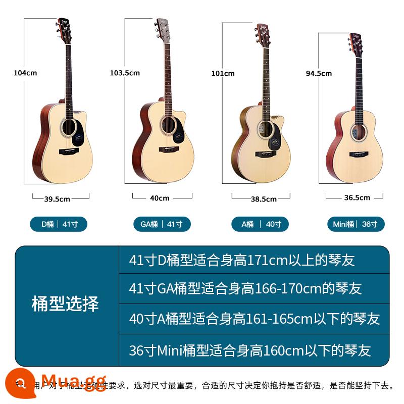 Giới thiệu đàn guitar Saga sf700 cho người mới bắt đầu chơi đàn guitar acoustic dân gian Saga 41 inch chính hãng được khuyên dùng cho bé trai và bé gái - Gợi ý lựa chọn nhóm