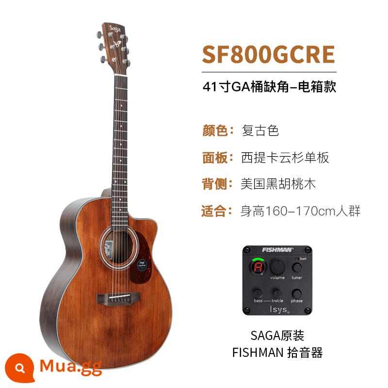 Giới thiệu đàn guitar Saga sf700 cho người mới bắt đầu chơi đàn guitar acoustic dân gian Saga 41 inch chính hãng được khuyên dùng cho bé trai và bé gái - Mẫu hộp điện SF800GRE/41 inch/cắt góc