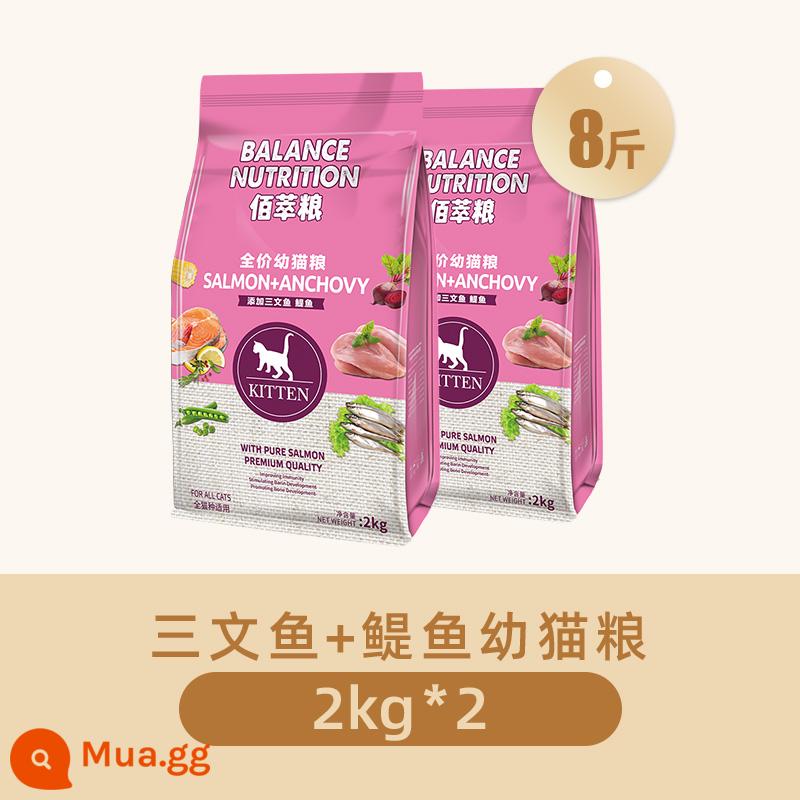 Thức ăn cho mèo McFudi 10kg vào mèo quảng bá cho bóng nuôi dưỡng Bai Cat Cat Food Cat Ying ngắn 8 pound 20 pound túi lớn - [Cá cơm Bai Cui] Thức ăn cá cơm cá hồi cho mèo con 2kg*2