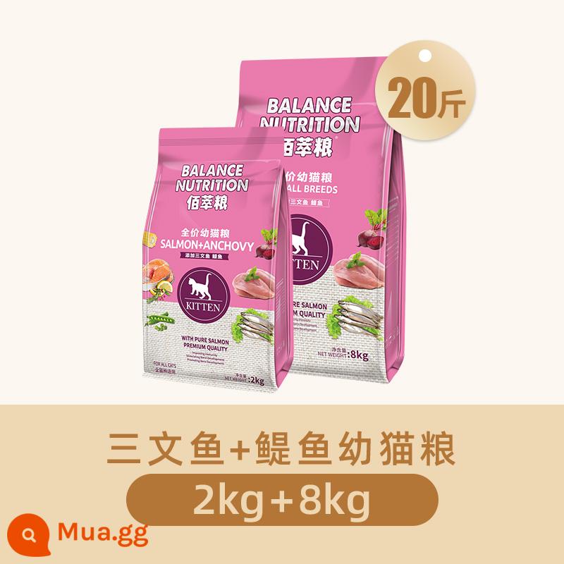 Thức ăn cho mèo McFudi 10kg vào mèo quảng bá cho bóng nuôi dưỡng Bai Cat Cat Food Cat Ying ngắn 8 pound 20 pound túi lớn - [Cá cơm Bãi Cui] Thức ăn cá cơm cá hồi cho mèo con 10kg (8kg+2kg)