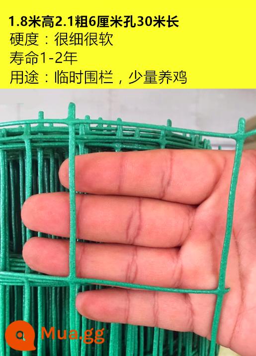 Aishang Dutch Net Iron Wire Fence Fence Net Family Chặn Gà vịt Net Net Phân lập Net Net Net Net Net - 2,1 dày * cao 1,8 mét * lỗ 6 cm 30 mét Trọng lượng 15 pound phiên bản đậm và nặng hơn