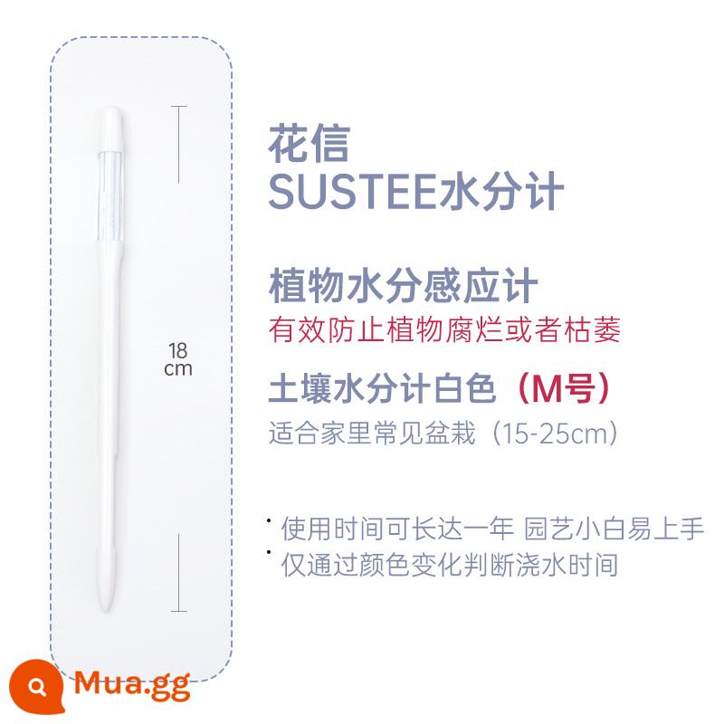 sustee hoa trồng thư đồng hồ đo độ ẩm thiếu nước nhắc nhở dụng cụ phát hiện ẩm kế đất nhắc nhở tưới cây - Máy đo độ ẩm đất trắng (size M)