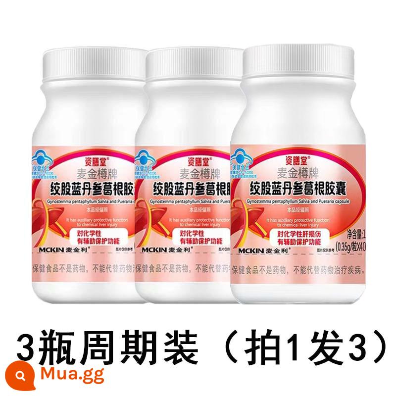 Gynostemma Danshen Pueraria Capsules Official Flagship Store Thuốc bảo vệ gan Zishantang Maijinzun Thương hiệu Zishantang - Gói chu kỳ 3 chai (uống 1 lần và 3 lần)