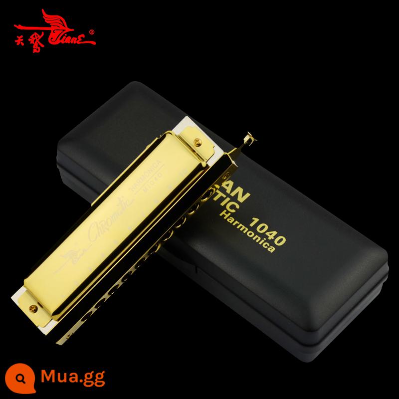 Harmonica Orb Altman Red Kai Harmonica cùng phong cách Học sinh mới bắt đầu học 10 lỗ trẻ em nam và nữ mục tự học có chữ - Swan vàng 10 lỗ (gửi kèn nhỏ + bông khử trùng)