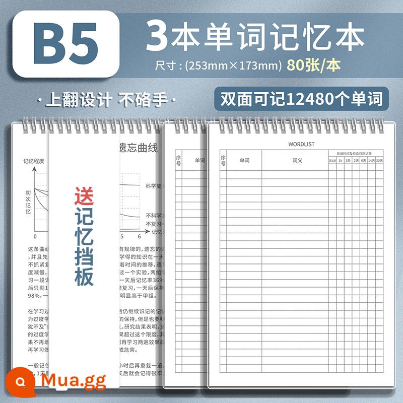 Bộ nhớ sách từ tiếng Anh Đường cong trí nhớ Ebbinghaus sinh viên đại học kỳ thi tuyển sinh sau đại học chính tả viết ghi nhớ hiện vật sổ ghi chép từ mới bốn cấp sáu cấp Nhật Bản khuyến mãi đặc biệt từ vựng trường trung học cơ sở trường trung học phổ thông đã quên - 3 tập cuộn dây [B5] với tổng cộng 480 trang • Bao gồm 3 vách ngăn bộ nhớ