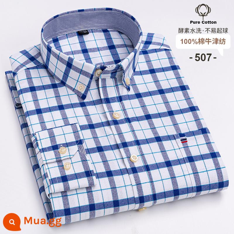 Ralph Lauren Polo Mùa Xuân Áo Sơ Mi Cotton Nam Dài Tay Sọc Trung Niên Công Sở Mỏng Nam Cotton Oxford Áo Sơ Mi - 507 (tay dài cotton nguyên chất)