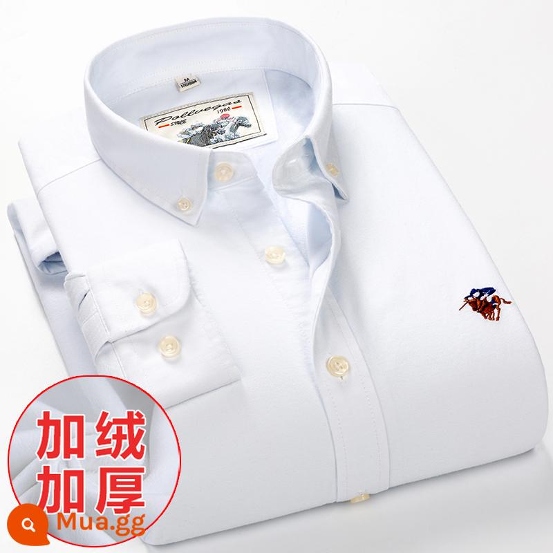 Ralph Lauren Polo Áo sơ mi mùa xuân, mùa thu, áo khoác cotton dài tay nam, áo khoác Oxford kiểu dáng doanh nhân, áo sơ mi sọc cotton không sắt - Mẫu nhung PL8031 Plus