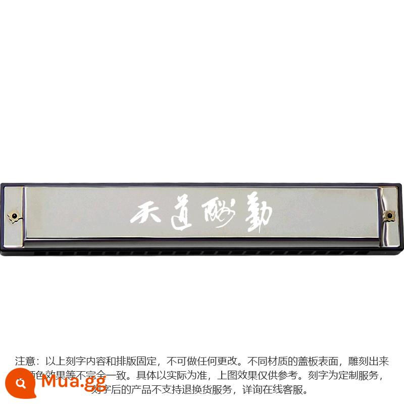 Harmonica tombo chính hãng Nhật Bản cao cấp dành cho người lớn trình diễn chuyên nghiệp cấp độ 24 lỗ kèn harmonica đa âm C key 6624S - Mẫu khắc tính phí Chúa ban thưởng cho những người làm việc chăm chỉ (chế độ nhận xét)