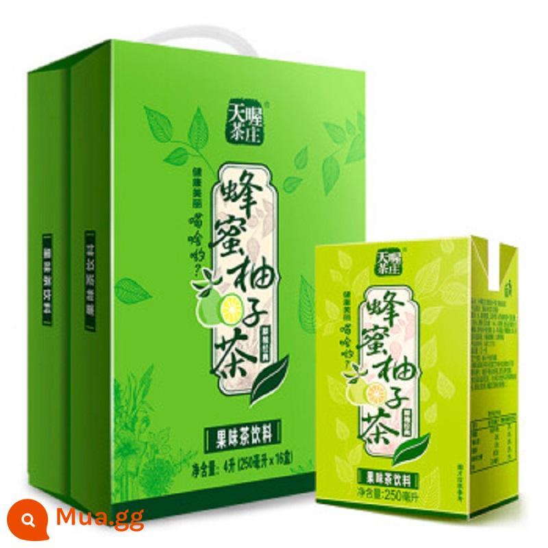 Tenwow Tea House Trà Bưởi Mật Ong 250ml * 16 Hộp Nước Uống Hộp Quà Bưởi Đỏ Trà Trắng Trà Ô Long Uống - Trà bưởi mật ong 250ml*16 hộp