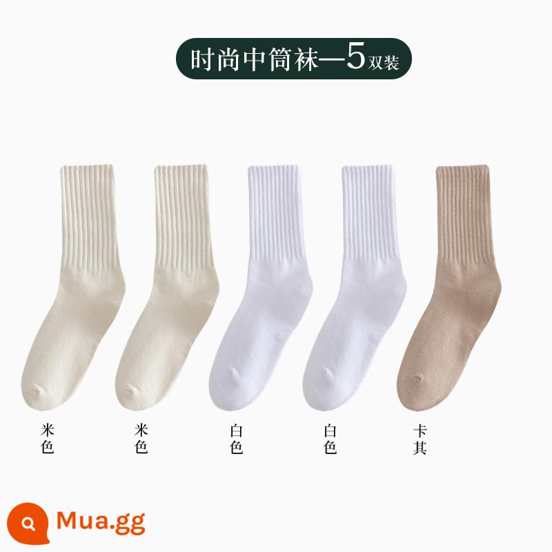 Vớ nữ ống giữa thu đông ins thủy triều kèm quần cá mập áo khoác ngoài ống dài vớ cotton không xương Plus nhung dày dặn mùa đông - Người bán hàng khuyên dùng cotton chải kỹ-2 màu be + 2 màu trắng + kaki