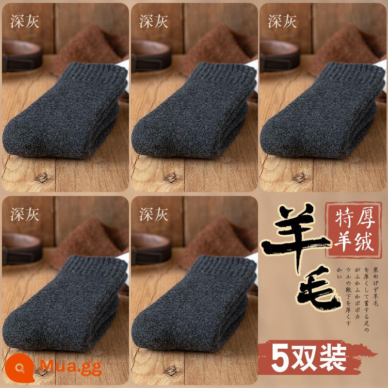 Tất len nam dày tất nam mùa đông Đông Bắc Plus nhung siêu dày ấm giữa ống cotton cashmere cực dày mùa đông - 5 cặp màu xám đậm