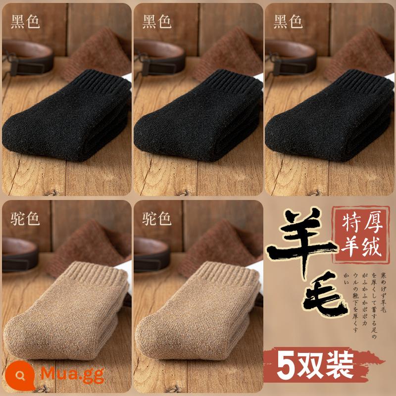 Tất len nam dày tất nam mùa đông Đông Bắc Plus nhung siêu dày ấm giữa ống cotton cashmere cực dày mùa đông - Đen 3 + Lạc đà 2