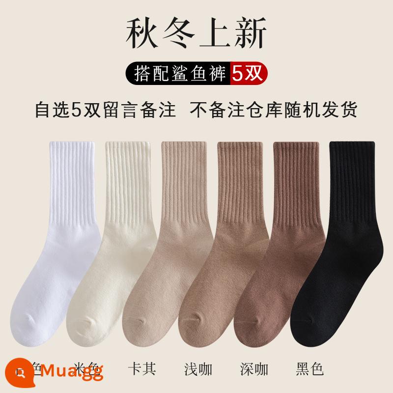 Vớ nữ ống giữa thu đông ins thủy triều kèm quần cá mập áo khoác ngoài ống dài vớ cotton không xương Plus nhung dày dặn mùa đông - Cố định 5 cặp ghi chú tùy chọn bằng bông chải kỹ, nếu không có ghi chú nào, mặc định là ngẫu nhiên.