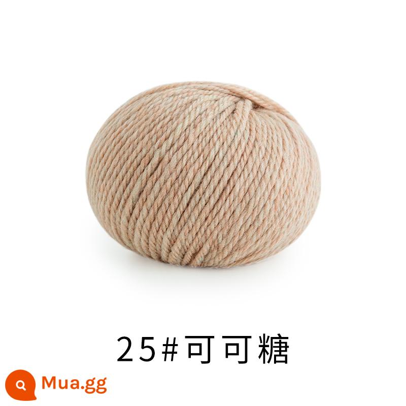 Chị Susu nhà Morandi 8 # Sợi len merino Úc handmade DIY dệt kim khăn mũ len bóng - 25# đường ca cao