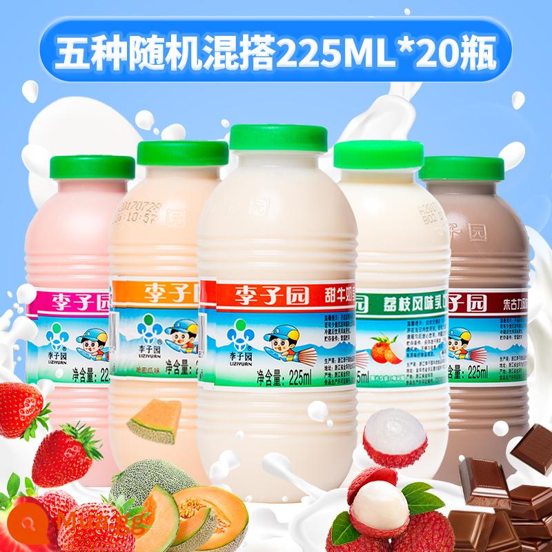 Sữa ăn sáng có đường Plum Garden hộp nhỏ 225ml sữa ngọt nguyên vị dâu Sữa uống trẻ em ưu đãi đặc biệt - 5 hỗn hợp ngẫu nhiên 225ml*20 chai