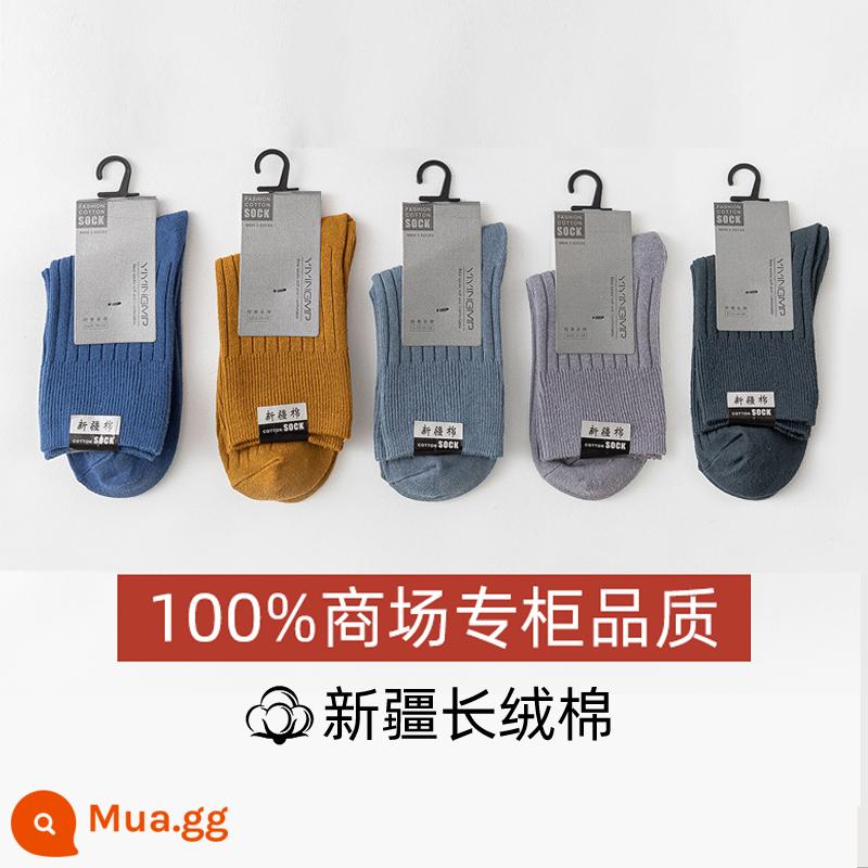 Vớ nam mùa đông 100% sợi cotton vớ ống giữa hút mồ hôi khử mùi đen trắng đôi vớ dày nam - Bộ 5 đôi [cao cấp] nam D