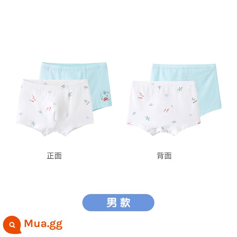 Quần lót trẻ em Anh quốc 4 góc bé trai bé gái Quần lót boxer bé trai bé gái có đáy không kẹp xì hơi bốn mùa - Gói 2 vỉ xanh dành cho nam