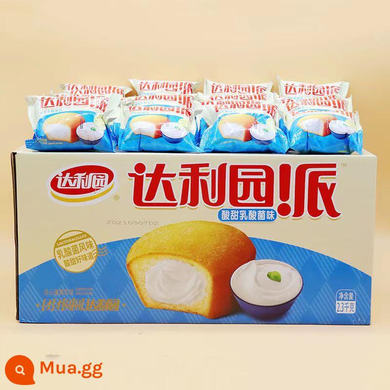 Bánh trứng lòng đỏ Daliyuan Bánh mì ăn sáng Bánh mì nguyên hộp Bánh sandwich tốt cho sức khỏe Snack Snack Snack Thực phẩm ăn nhẹ Đa hương vị - [Số lượng lớn, ưu đãi lớn] Bánh ấm lòng Dali Garden vị Lactobacillus, khoảng 90 chiếc