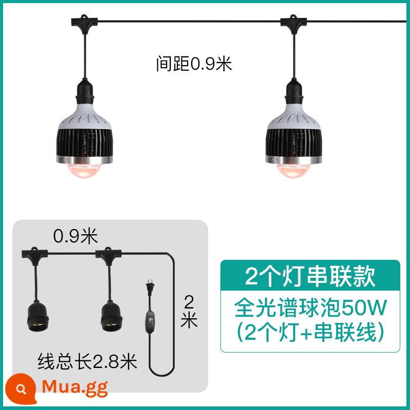 Mọng Nước Lấp Đầy Ánh Sáng Suốt Bóng Đèn Downlight Đặc Biệt Hộ Gia Đình Tô Màu Trong Nhà Giả Mặt Trời Tăng Trưởng Thực Vật Đèn - Bóng đèn tập trung toàn phổ 50w* (2 đèn nối tiếp)