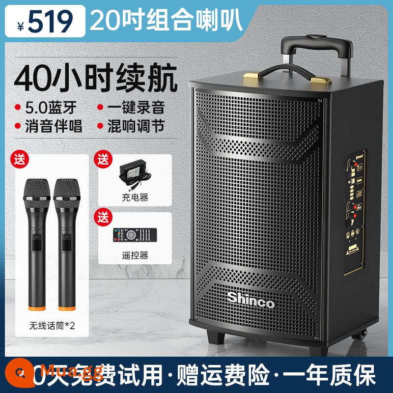 Xinke Vuông Nhảy Âm Thanh Di Động Ngoài Trời Xe Đẩy Hiệu Suất Hát Karaoke Loa Bluetooth Di Động Tại Nhà Âm Lượng Lớn - Loa gỗ siêu trầm 3 loa 20 inch + 2 micro không dây