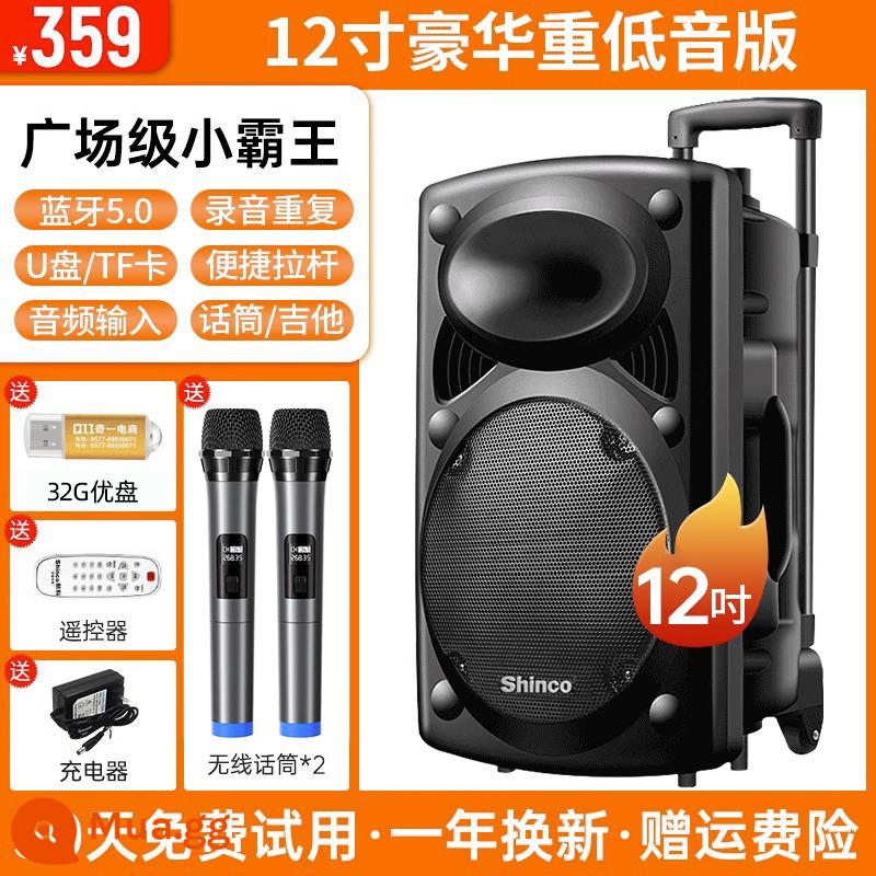 Xinke Vuông Vũ Âm Thanh Karaoke Ngoài Trời Di Động Đòn Bẩy Loa Bluetooth Có Mic Hát Loa Siêu Trầm Hiệu Suất - Loa siêu trầm hàng đầu 12 inch + 2 micrô chuyên nghiệp không dây + Ổ flash USB 32G + điều khiển từ xa