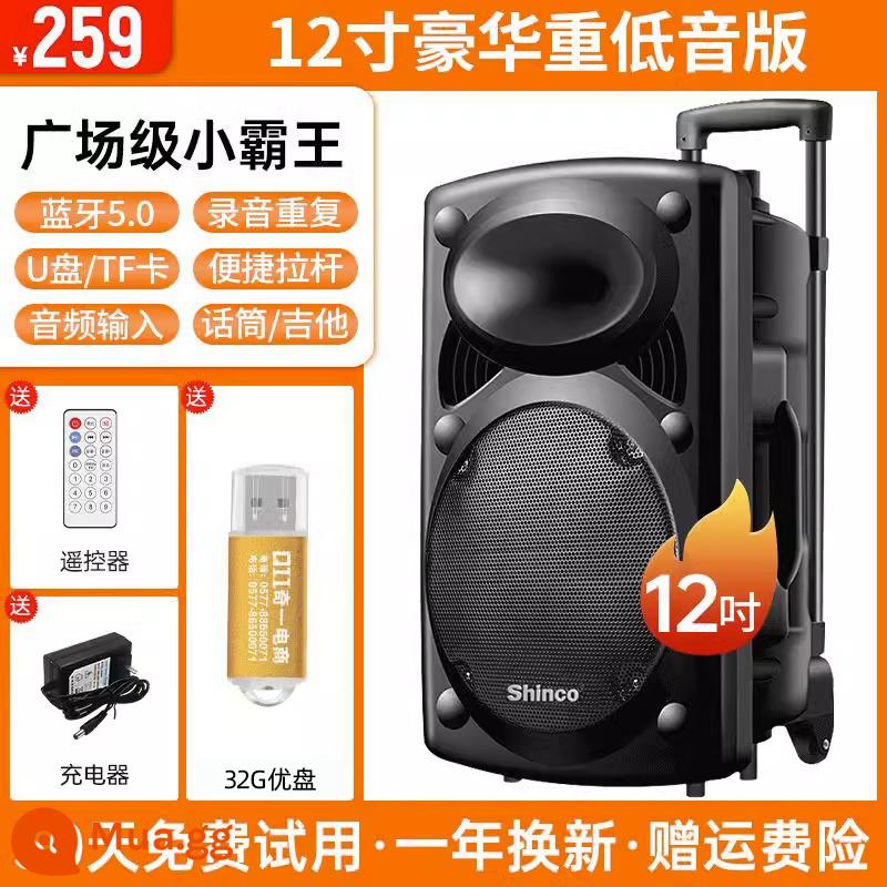 Xinke Vuông Vũ Âm Thanh Karaoke Ngoài Trời Di Động Đòn Bẩy Loa Bluetooth Có Mic Hát Loa Siêu Trầm Hiệu Suất - Loa siêu trầm hàng đầu 12 inch + ổ flash USB 32G + điều khiển từ xa