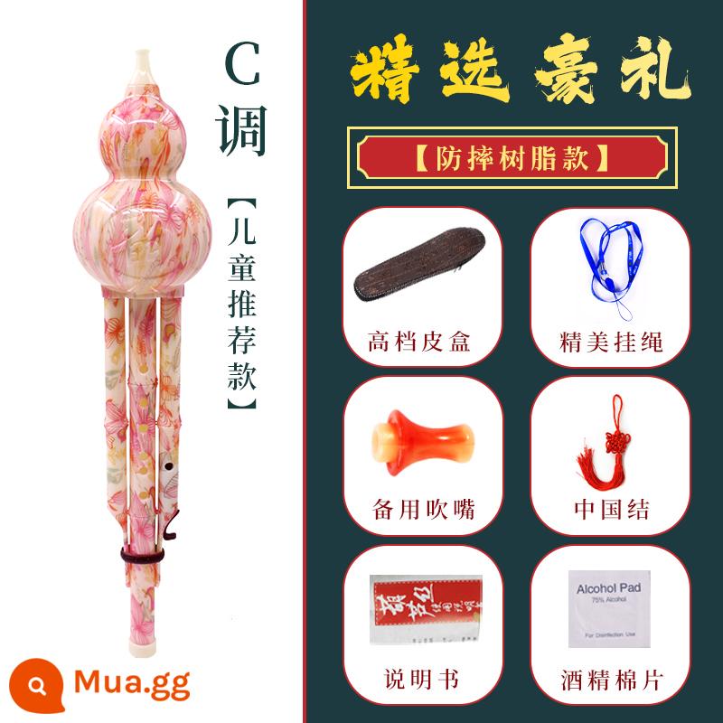 Cửa hàng hàng đầu của nhạc cụ Silk Silk Faster CNTI để giảm B điều chỉnh học sinh tiểu học Children Tiểu học Chân - Mục [màu đào nhựa] tông C + hộp