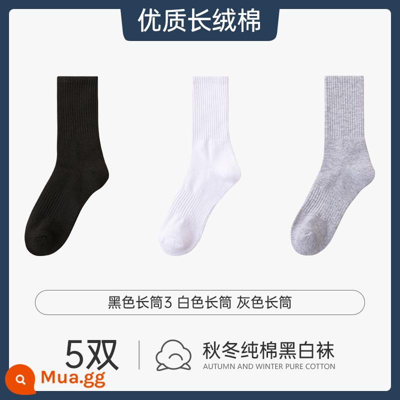 Vớ nam xuân hè vớ cotton nguyên chất vớ đen nam khử mùi thấm hút mồ hôi màu đơn giản vớ - [5 đôi] Ống dài màu đen 3 Ống dài màu trắng Ống dài màu xám