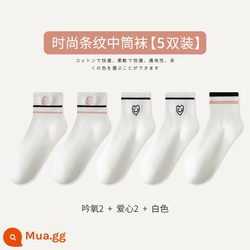 Tất Zhuji Tất Nữ Xuân Thu Giữa Ống Tất Cotton Nguyên Chất Maillard Sọc Bong Bóng Tất Plus Nhung Mùa Đông dày Tất Dài - [5 đôi tất] Yin Oxygen 2 Love 2 Trắng