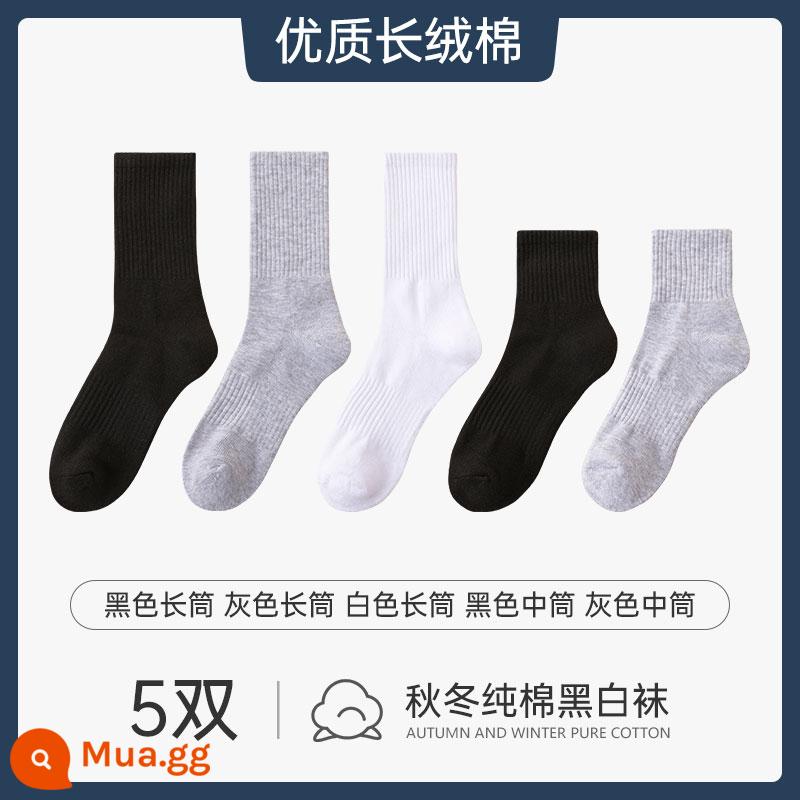 Vớ nam xuân hè vớ cotton nguyên chất vớ đen nam khử mùi thấm hút mồ hôi màu đơn giản vớ - [5 đôi] Ống dài màu đen, ống dài màu xám, ống dài màu trắng, ống trung bình màu đen, ống trung bình màu xám