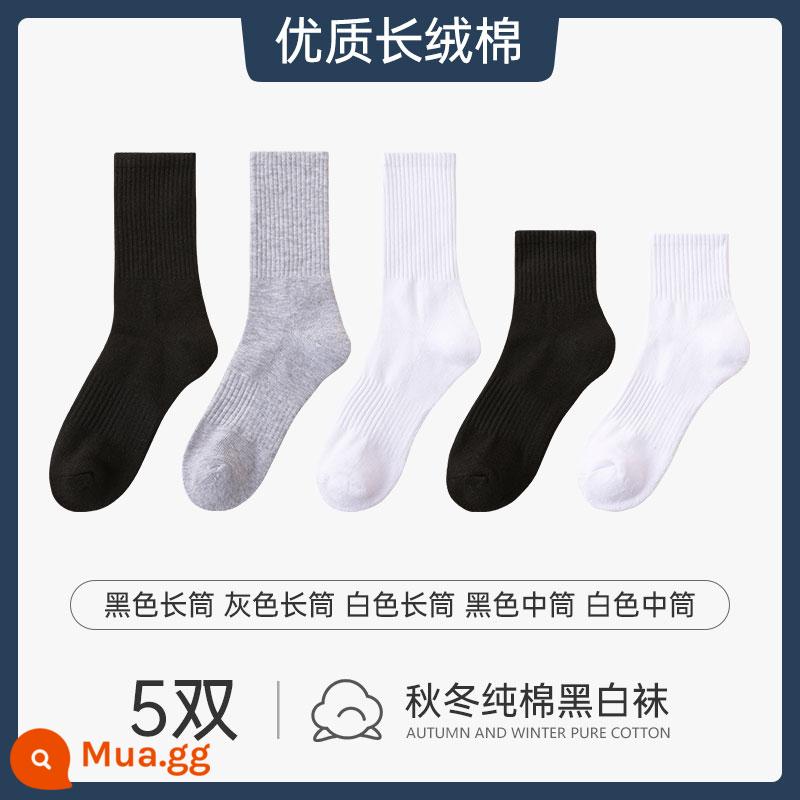 Vớ nam xuân hè vớ cotton nguyên chất vớ đen nam khử mùi thấm hút mồ hôi màu đơn giản vớ - [5 đôi] Ống dài màu đen, ống dài màu xám, ống dài màu trắng, ống trung bình màu đen, ống trung bình màu trắng