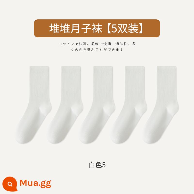 Tất Zhuji Tất bong bóng đen trắng nữ Cotton nguyên chất giữa ống kiểu xuân thu Tất không xương Mùa đông sau sinh Vớ hợp thời trang - Trắng 5