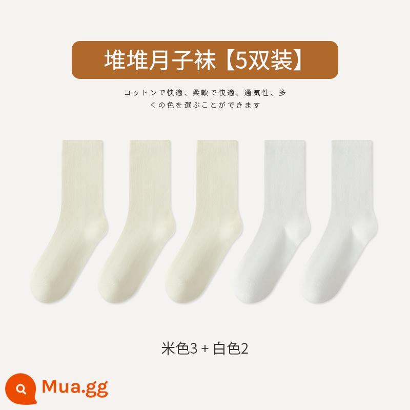 Tất Zhuji Tất bong bóng đen trắng nữ Cotton nguyên chất giữa ống kiểu xuân thu Tất không xương Mùa đông sau sinh Vớ hợp thời trang - Màu be 3 Trắng 2