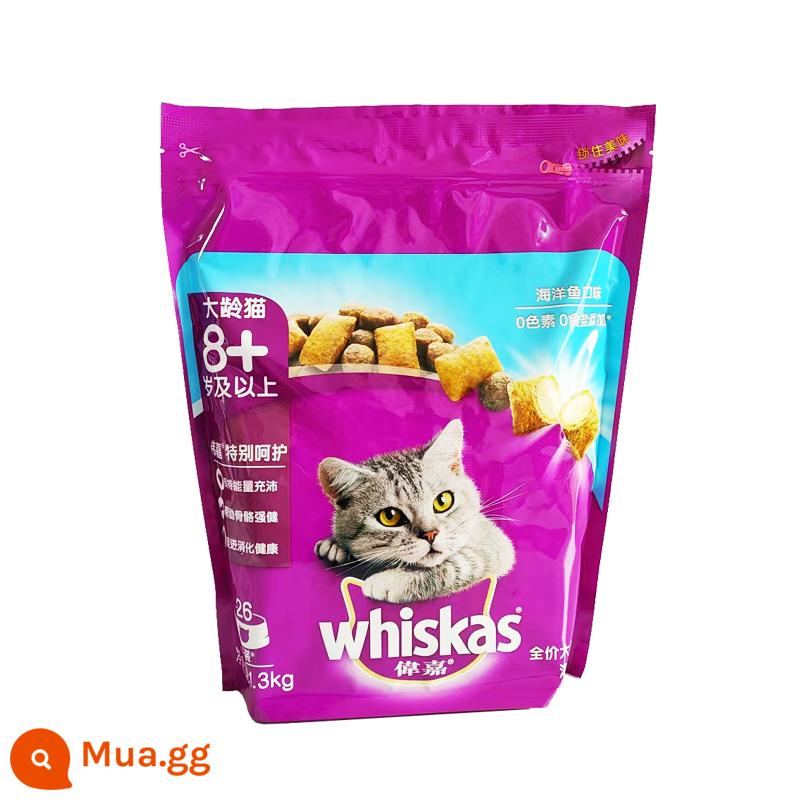 Weijia Kitten Cat Food 1,2kg Hương vị cá biển nuốt cá hồi con mèo xanh Anh ngắn làm đẹp ngắn phân bón 2-1 tháng 12 - [Mèo Cao Cấp] Vị Cá Biển 1.3kg