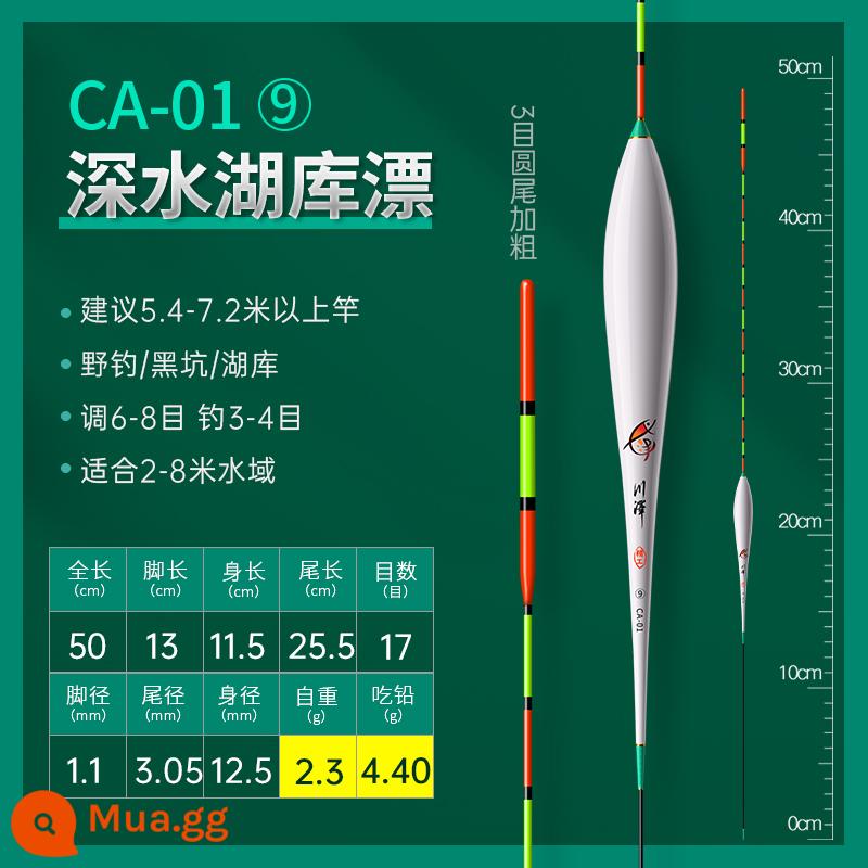 Chuanze mùa xuân câu cá ánh sáng miệng nhỏ bị phá vỡ mắt cá diếc phao nổi nano độ nhạy cao bắt mắt phao chống gió và sóng chống trôi nước - [Số 9] Ăn chì ≈ 4,4 gam Huku lớn (17 lưới, 3 lưới lớn và đậm)