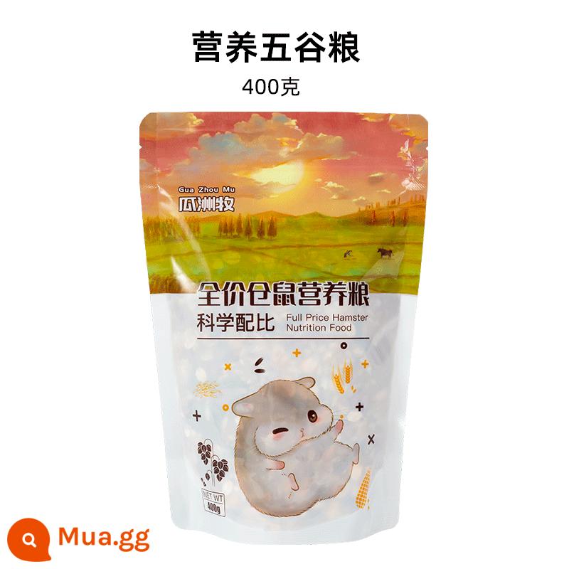 Thức ăn cho hamster gấu vàng dinh dưỡng thức ăn chủ yếu thức ăn sâu bánh mì hải sản các loại hạt cung cấp đầy đủ đồ ăn nhẹ nhỏ 1200ml - 400g thức ăn cho hamster (không nên dùng)