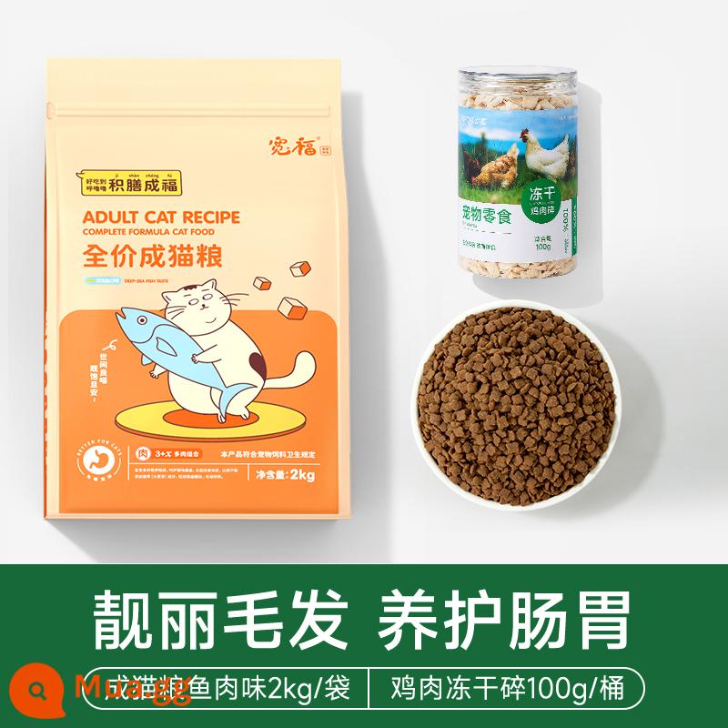 Kuanfu Cat Grain Cat Dinh dưỡng mèo béo mèo con toàn cầu Handiculum 2kg 20 Anh ngắn quỷ 10 pounds - Hương vị cá 2kg thức ăn cho mèo + vụn đông khô 100g [Đồng hành thức ăn cho mèo lông đẹp]