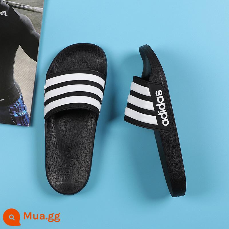 Dép Adidas nam mùa hè chính thức hàng đầu mới giày đi biển Alpha Velcro dép thể thao nam - AQ1701