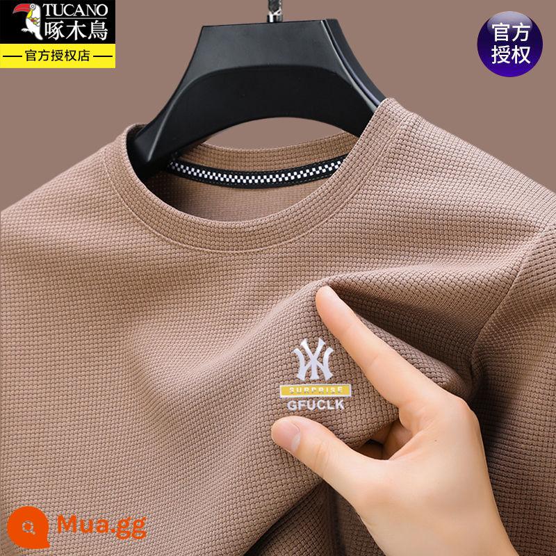 Chim gõ kiến ​​xuân thu nam cotton nguyên chất áo thun dài tay cổ tròn in hình áo trung niên áo thun thun đáy quần - 5509 lạc đà