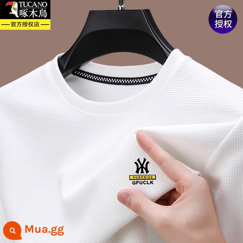 Chim gõ kiến ​​xuân thu nam cotton nguyên chất áo thun dài tay cổ tròn in hình áo trung niên áo thun thun đáy quần - 5509 màu trắng