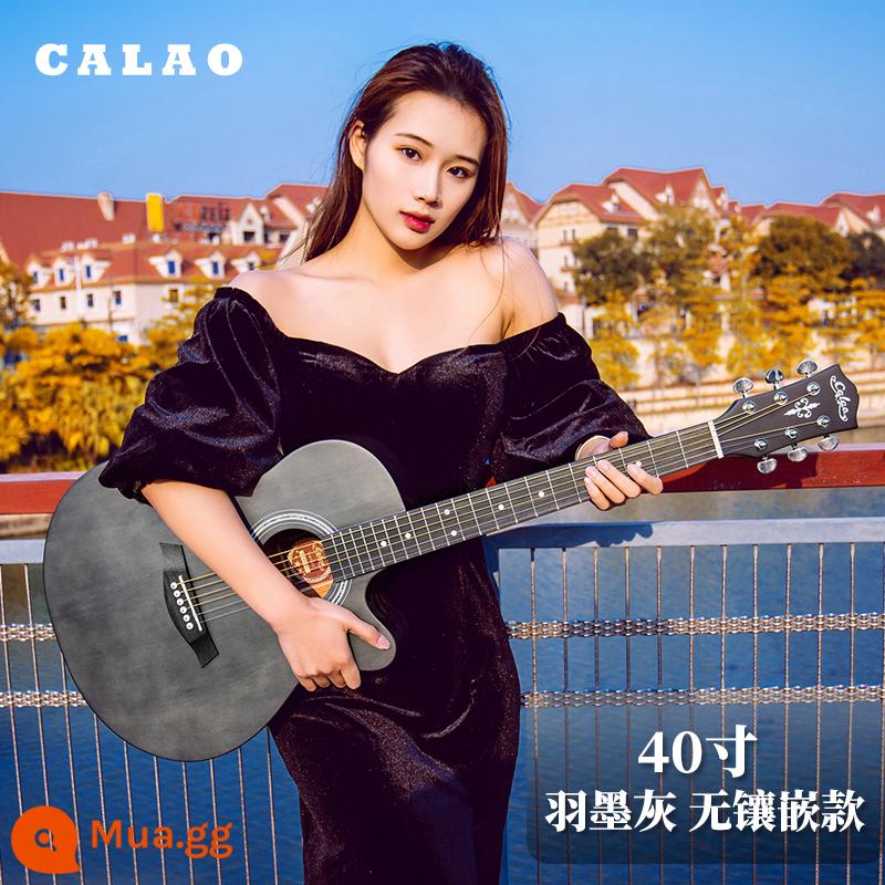 Calleo 41 inch veneer guitar sinh viên nữ nam dân gian acoustic Đàn guitar lưới 40 inch màu đỏ họa tiết cá tính nhạc cụ - [Bảng đơn] Màu xám lông vũ không chạm khắc 40 inch + phụ kiện + bộ chỉnh + hướng dẫn