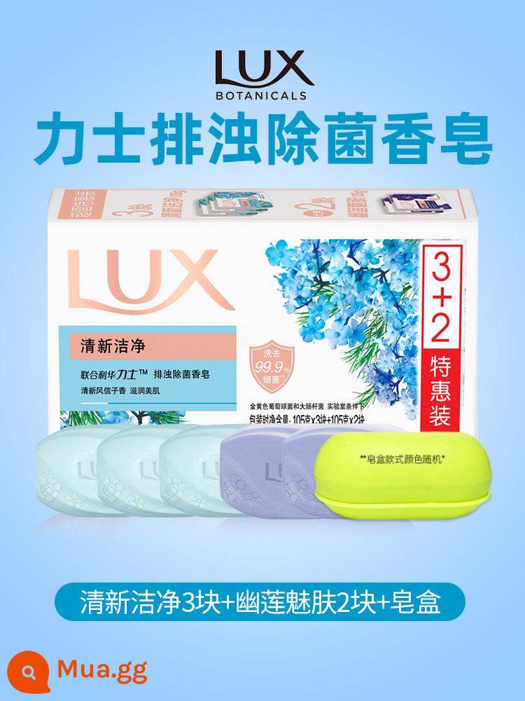 Xà phòng lux tinh dầu hoa hồng trẻ hóa da lâu dài Youlian charm skin xà phòng ẩm mượt nam nữ tắm rửa mặt - [Tổng cộng 5 miếng] Tươi mát và sạch sẽ 3 miếng + Da quyến rũ Youlian 2 miếng + Hộp xà phòng