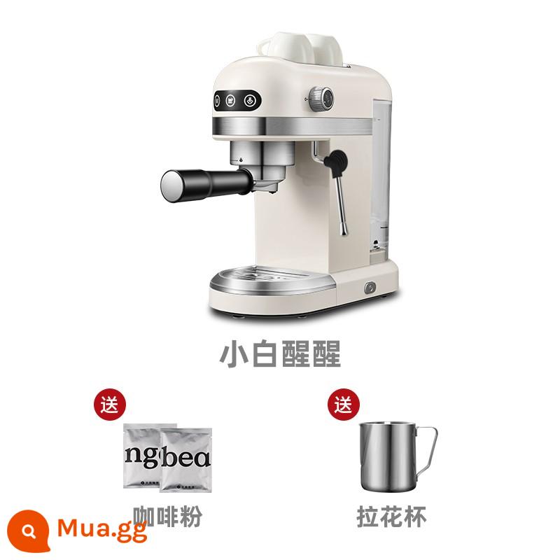 Baicui PE3366 Xiaobai Xingxing Máy pha cà phê Ý cô đặc hộ gia đình quy mô nhỏ bọt sữa hoàn toàn bán tự động - Máy pha cà phê Xiaobai Xingxing màu trắng nhạt