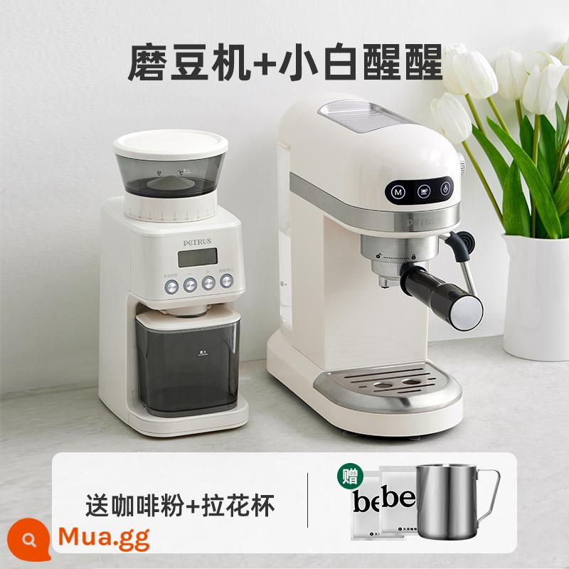 Baicui PE3366 Xiaobai Xingxing Máy pha cà phê Ý cô đặc hộ gia đình quy mô nhỏ bọt sữa hoàn toàn bán tự động - Máy xay đậu trắng + Xiaobai Xingxing + máy xay đậu