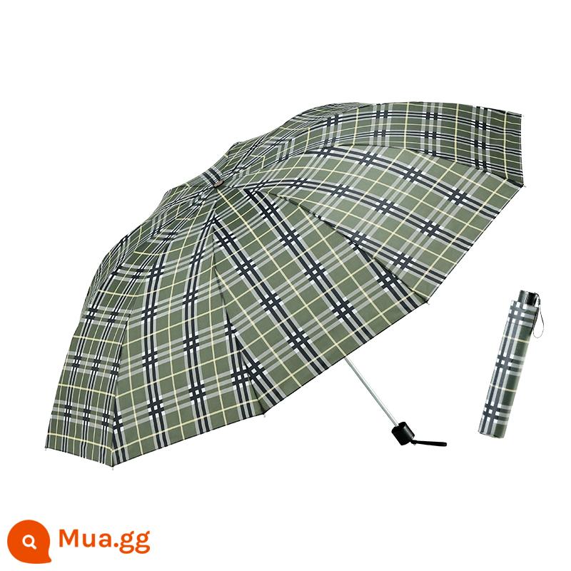 Paradise Umbrella Authentic Monopoly Ô ba gấp Ô gấp cổ điển dành cho nam và nữ Ô nắng 339s Xương thép Ô kẻ sọc cổ điển - Khung lớn màu xanh lá cây và trắng với mười xương