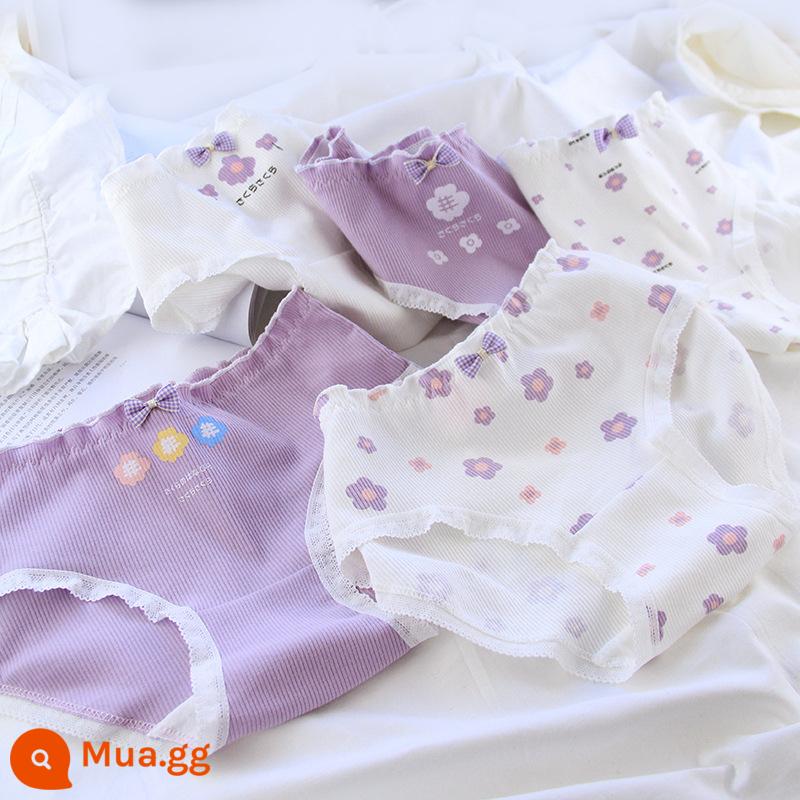 Quần lót cotton cho bé gái từ trung tuổi trở lên quần an toàn quần sịp cotton cho bé gái 100% cotton kháng khuẩn 12-15 tuổi - Bộ 5 bông cúc tím mới