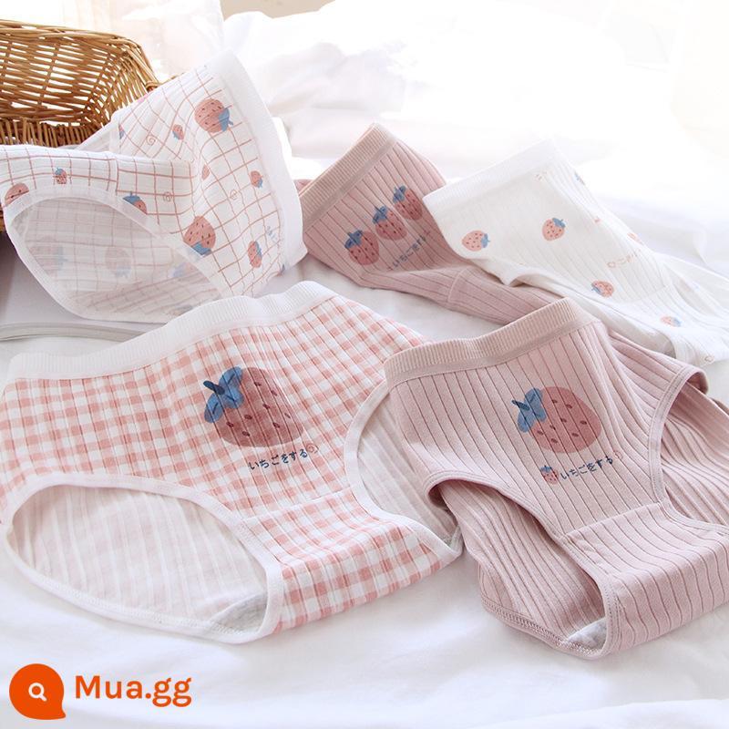 Quần lót cotton cho bé gái từ trung tuổi trở lên quần an toàn quần sịp cotton cho bé gái 100% cotton kháng khuẩn 12-15 tuổi - Bộ 5 quả dâu ca rô mới