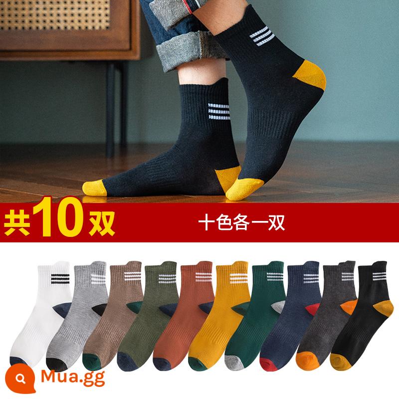 Vớ nam nam -tube dài dài polyester polyester mùa thu mùa thu và mùa đông chống mồ hôi hấp thụ các chàng trai - 10 màu hỗn hợp 1 [10 đôi]